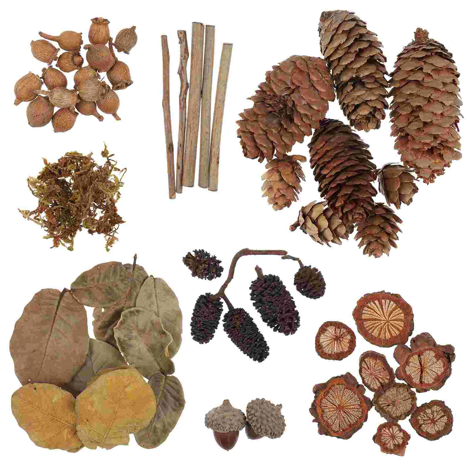 

1 Set Desktop Adornments Natural Acorns for Decoration Natural Pine Cones Frosted Pine Cone Ornaments