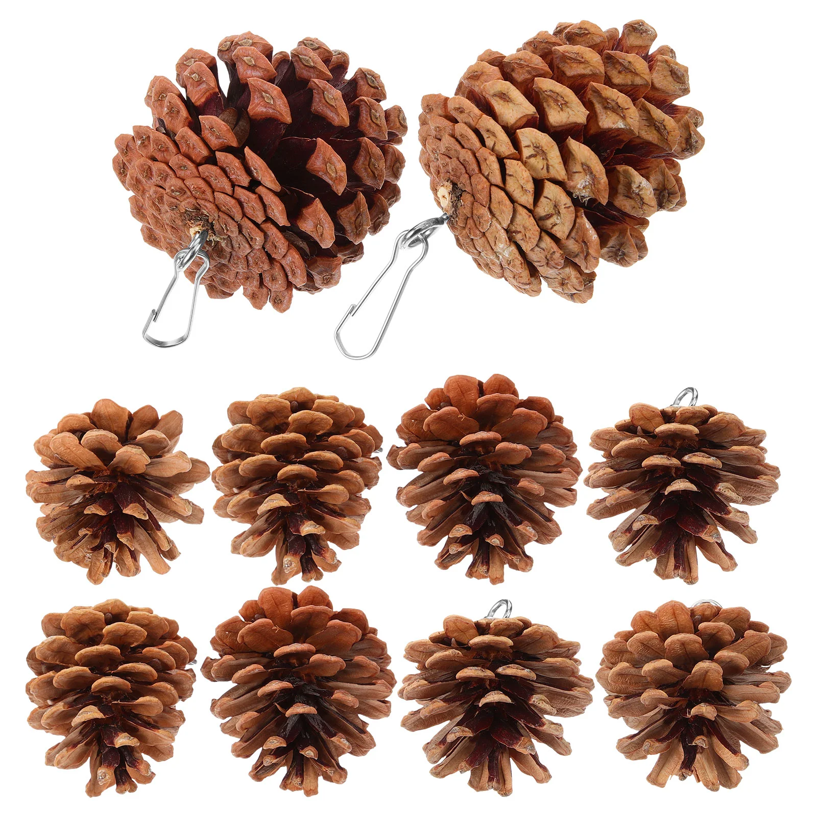 10 шт. жевательная игрушка для попугая кусающая птица милая сосновая шишка