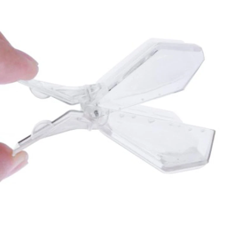 Пчелиная королева Ловец бесцветный прозрачный пластиковый клип клетка