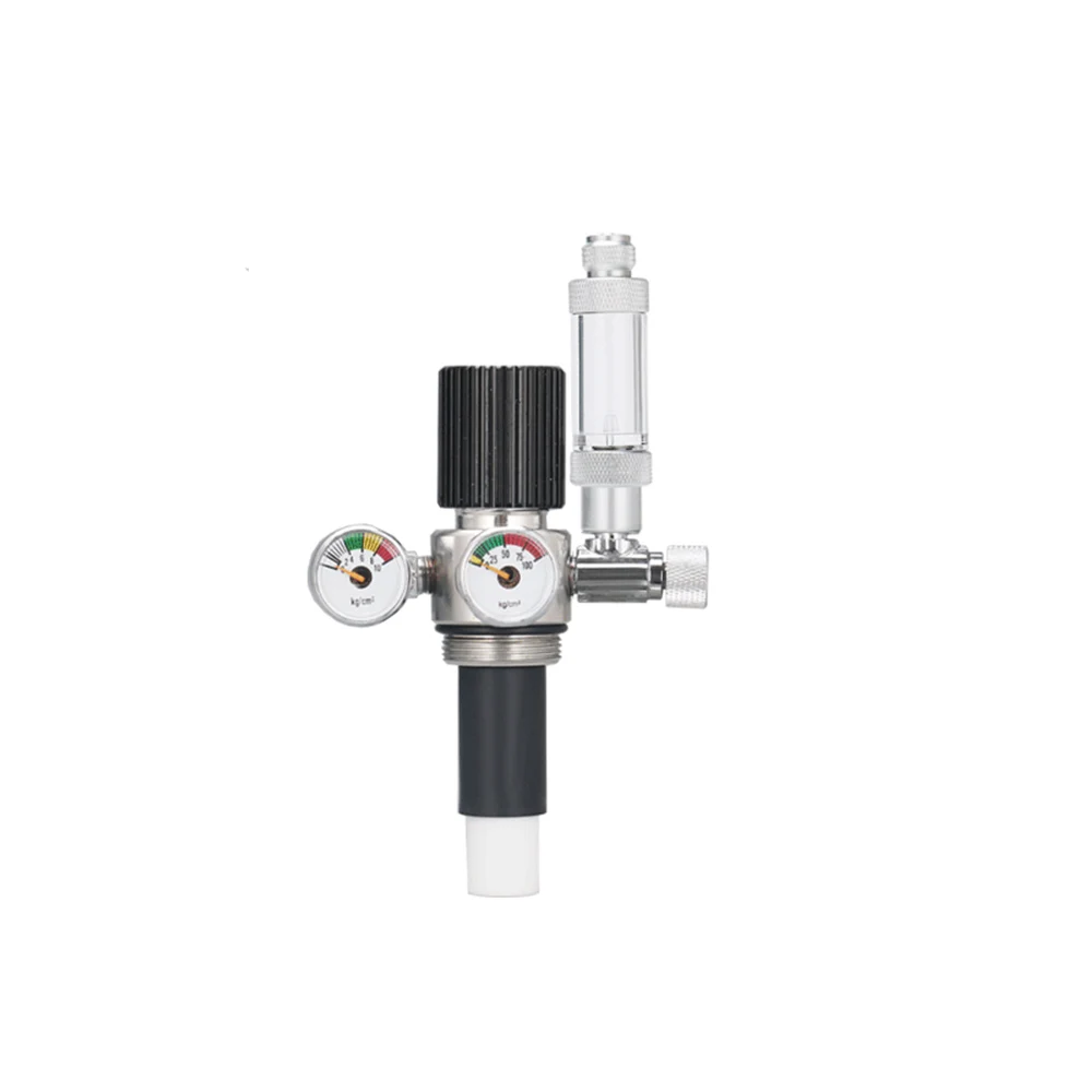 

1PCS Triple Filter Element Stainless Steel Valve Double Gauge Pressure Regulating Stainless Steel Valve with Bubble Counter