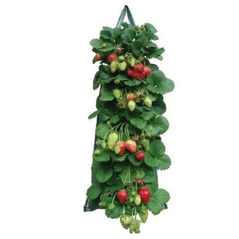 

Pockets Strawberry grow pot vertical Garden Plant Bags Planter Planting PE wall hanging Potato Plants For Veg Herb Flower