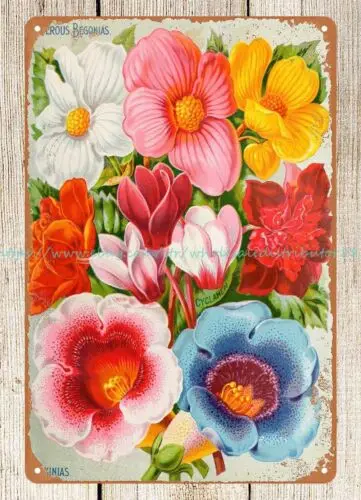 Бегония цикламен глоксиния Джон Льюис детский цветок 1896 металлический жестяной