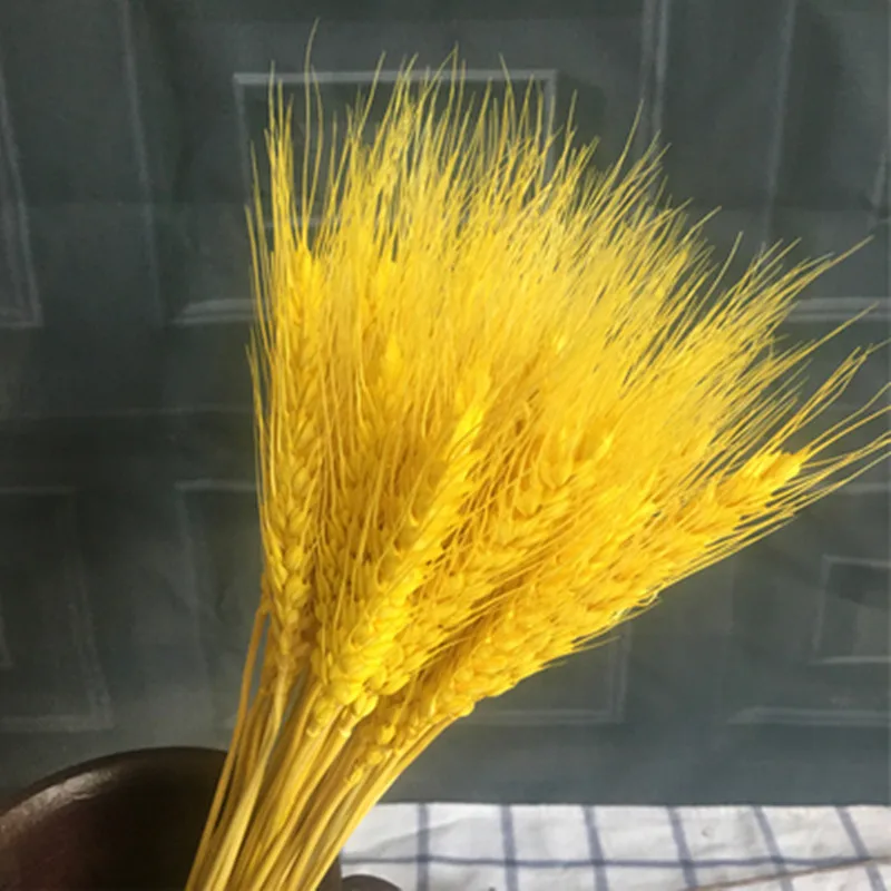 Натуральные пшеничные настоящие сушеные цветы букеты открывающиеся ячмень