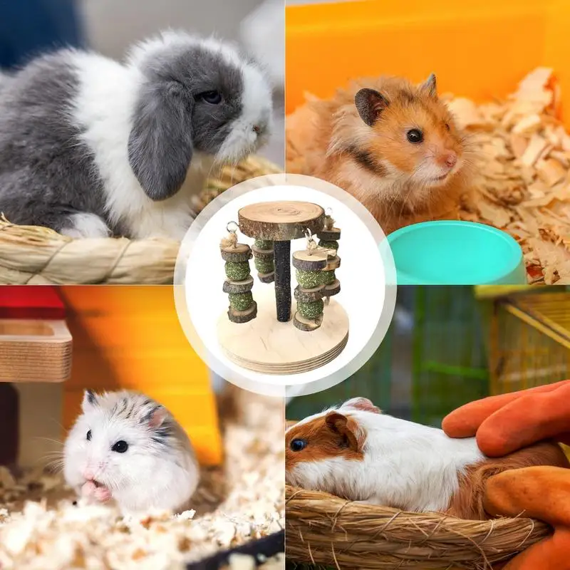 w gryzieniu dla chomików Drewniana zabawka do żucia Wielofunkcyjna królików Zabawki wzbogacające Chomik
