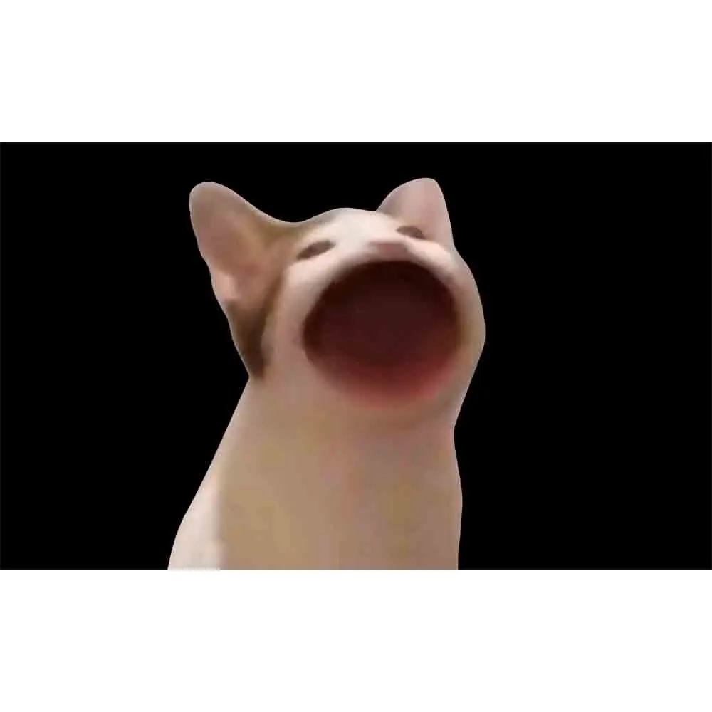 

60x90 см 90x150 POP CAT Flag Banner штора-гобелен 2