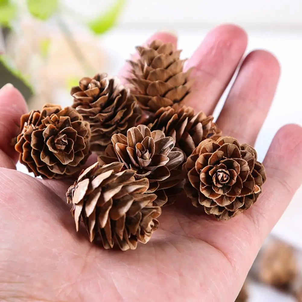 

20Pcs Useful Fake Pine Cone Lightweight Convenient Delicate Decorative Artificial Pine Cone for Garden Fake Pine Cone