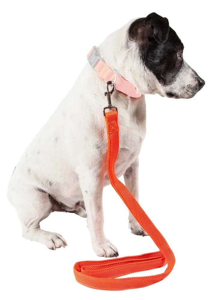 

JMT Pet Life 'Aero Mesh' Dual Sided Comfortable And Breathable Adjustable Mesh Dog Leash