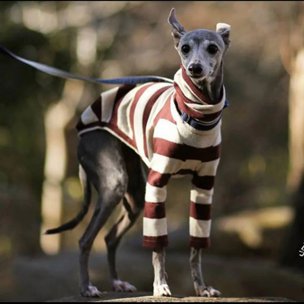 

Cotton Italian Greyhound Clothes Two-legged Dog Pullover Clothing Winter Warm Striped Greyhound Whippet Clothes Big Dog Hoodie