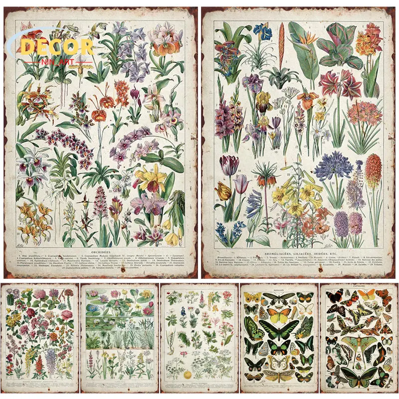 

Retro Botanical Flower Metal Tin Sign Poster for Butterfly Floral Insect Birds Animal Vintage Home Bar Cafe Decor Art Decoration