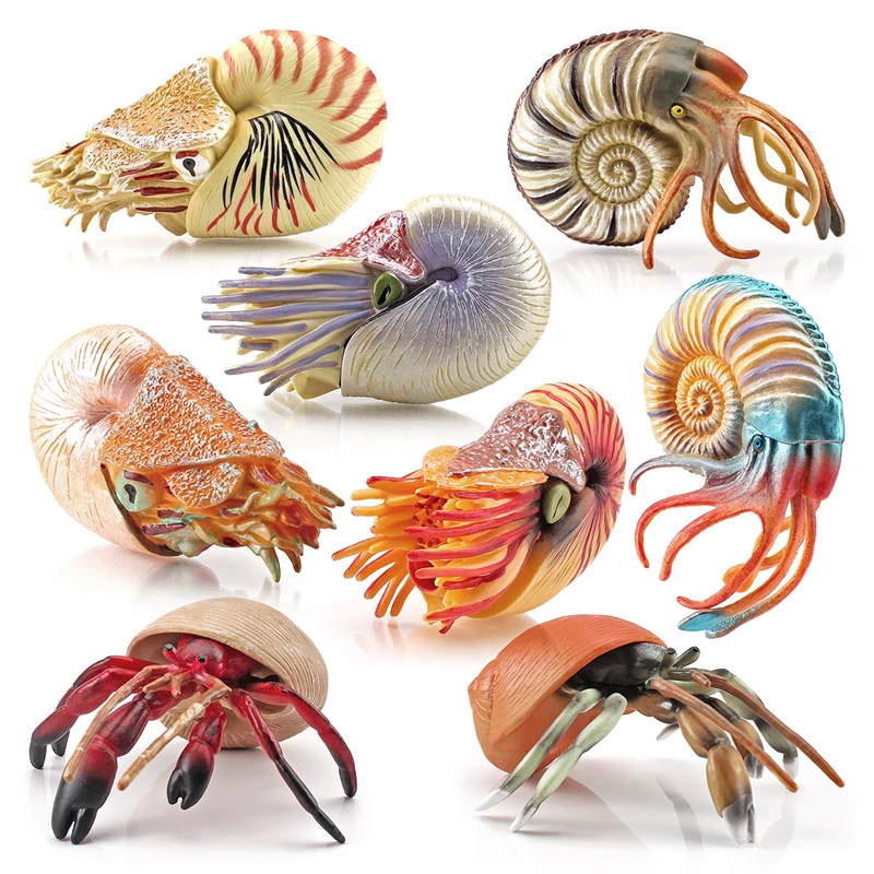 

Simulation Marine Animal Model Hermit Crab Nautilus Fish Tank Ornaments Figurines Action Figures Children's Educational Toy Gift