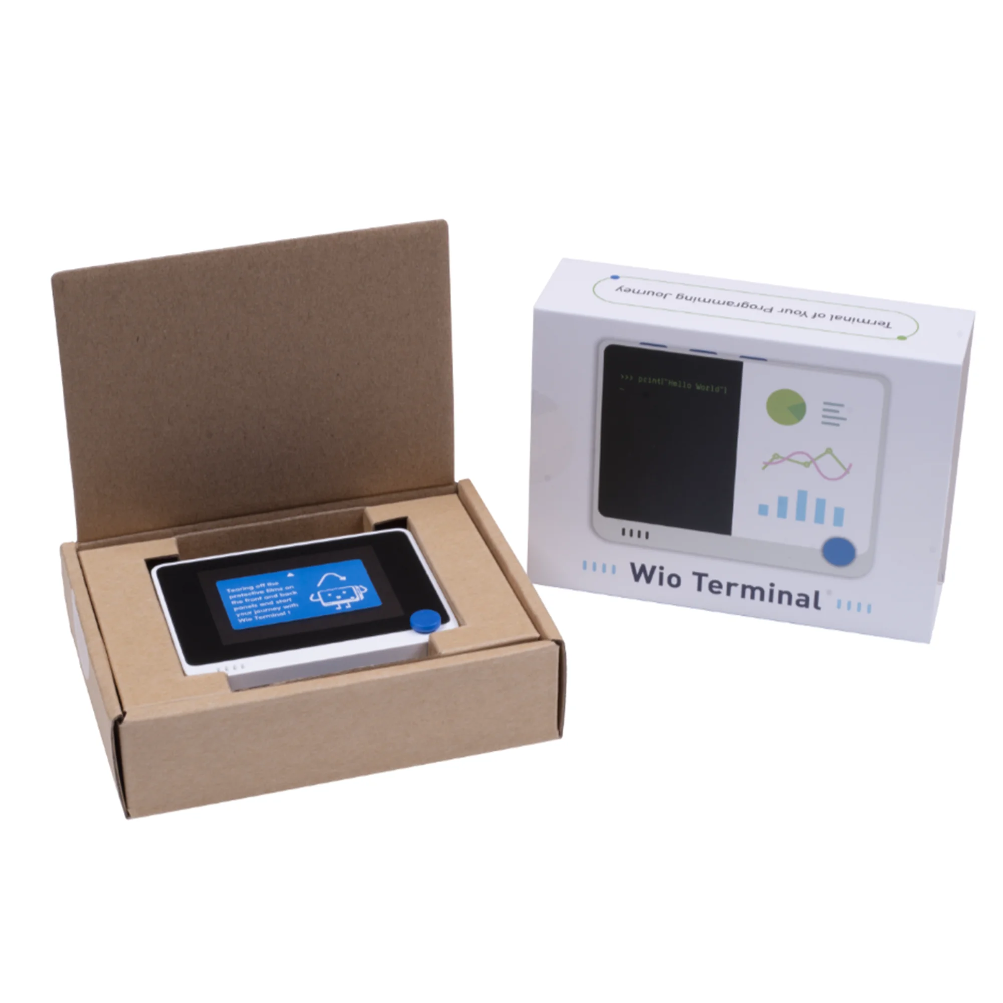 Терминал Seeed Wio: ATSAMD51 Core с Realtek RTL8720DN BLE 5,0 и Wi-Fi 2,4G/5G Dev Board с бесплатным курсом