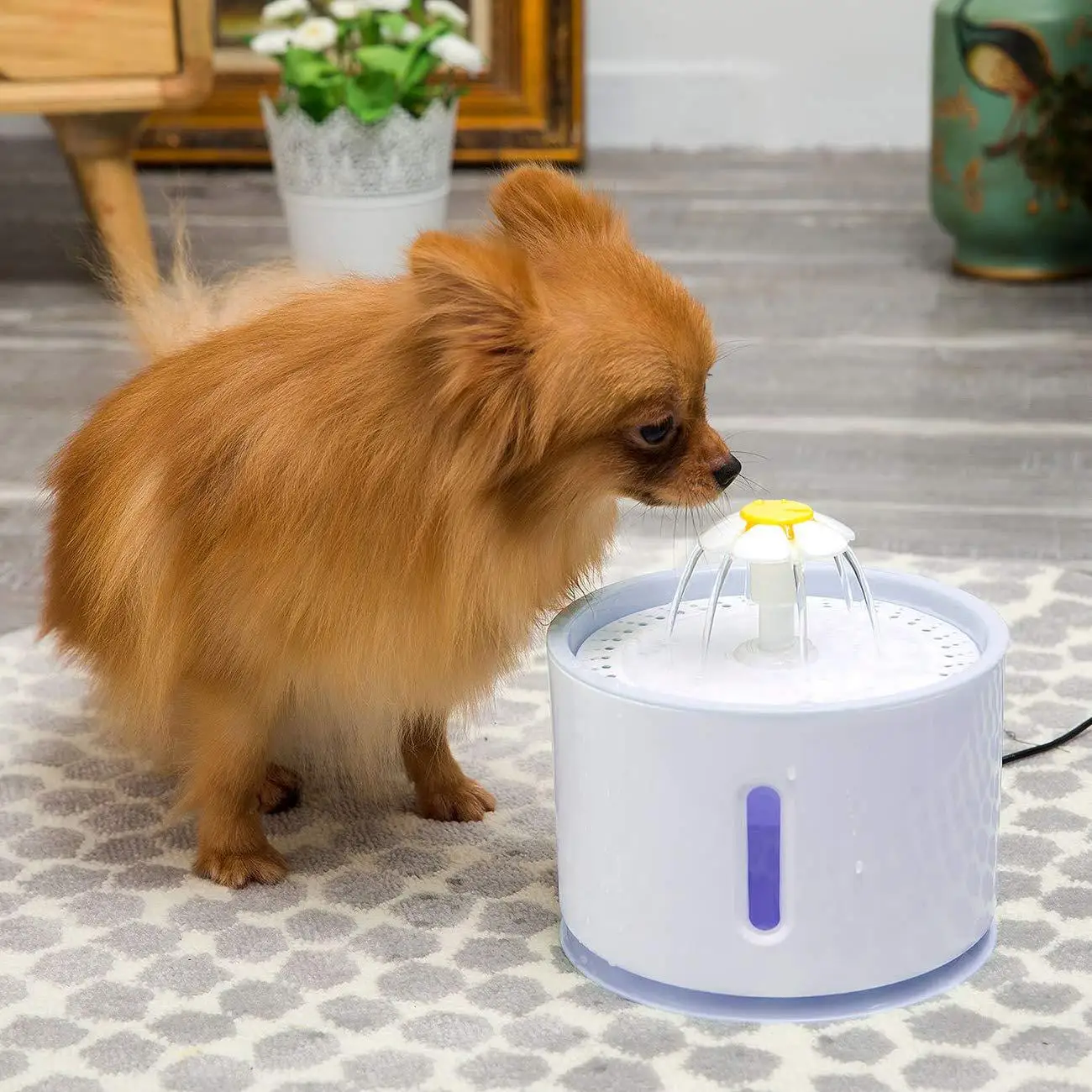 

2.4L USB Pet Water Dispenser Cat Dog Water Feeder Night Light Visual Cycle Pet Automatic Drinking Fountain поилка для кошек