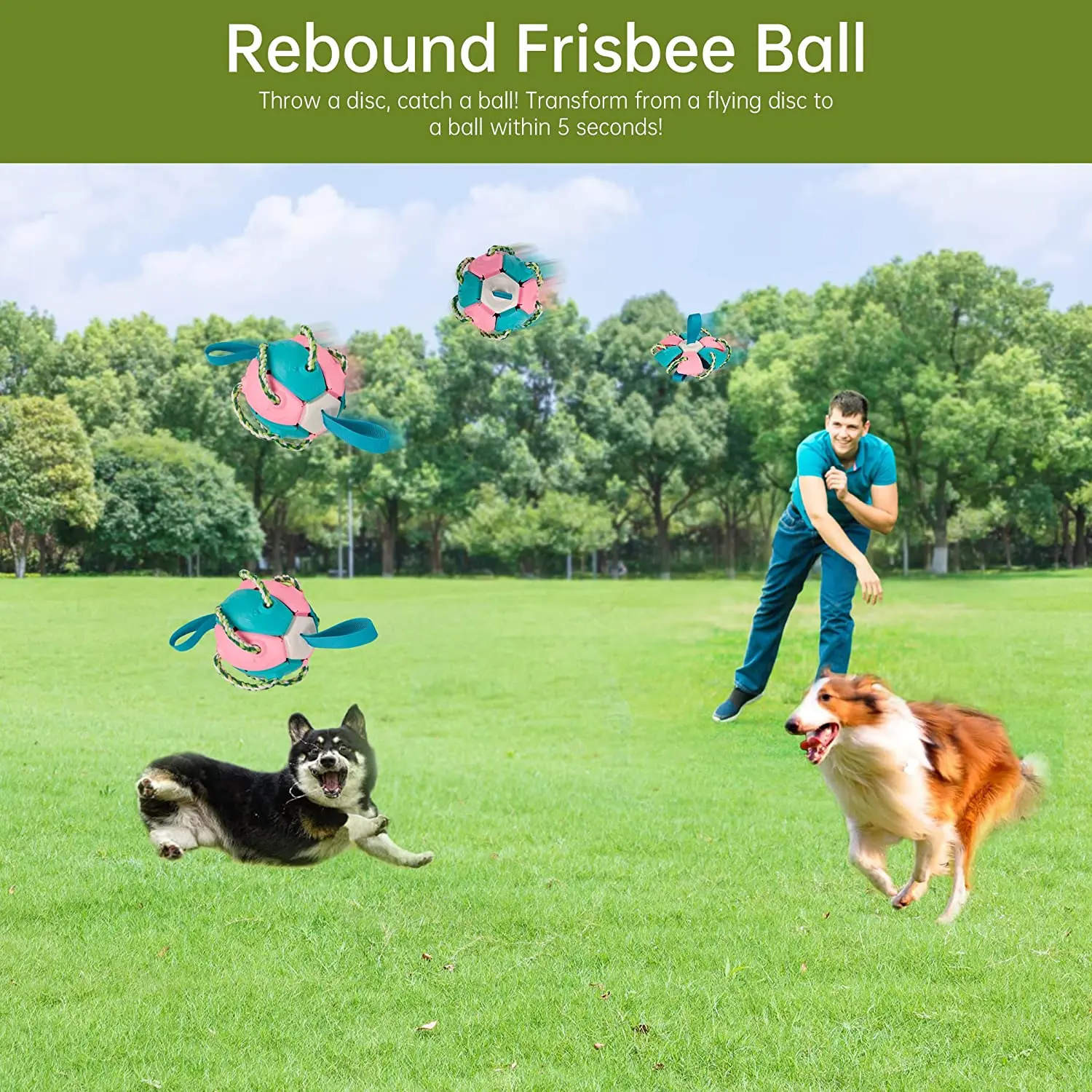 Жевательные мячики для собак игрушка упражнений на открытом воздухе боевые