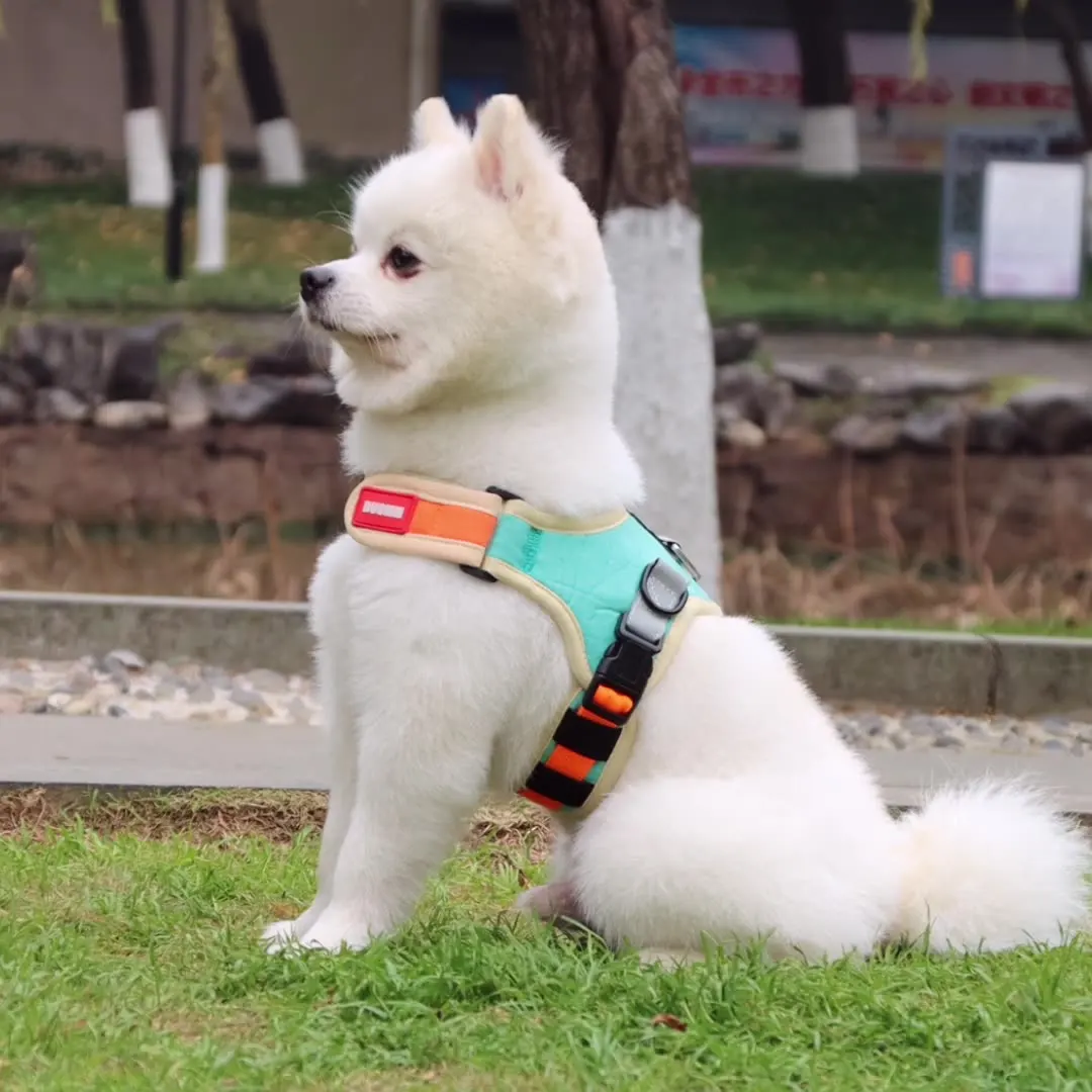 

New Pet Chest Strap Faux Suede Saddle Pet Leash For Walking The Small Medium Dog Running Leashes Pet Traction Supplies Hot 2022