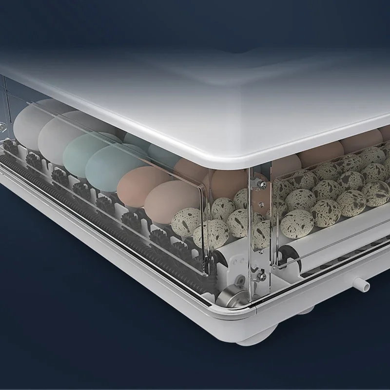 110V/220V Eggs Incubator Brooder Automatic Farm Incubation Tools Bird Quail Chick Hatchery Poultry Hatcher Turner 10/12Pcs