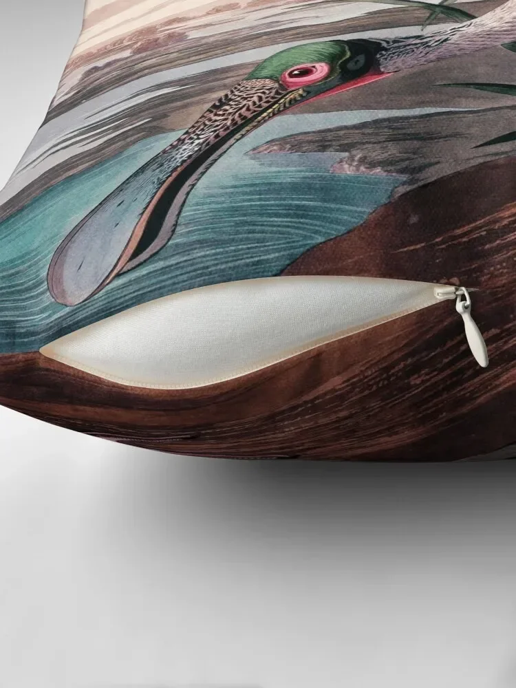 Птица Америки птица влюбленная Америка Красивая живопись в общественных домах