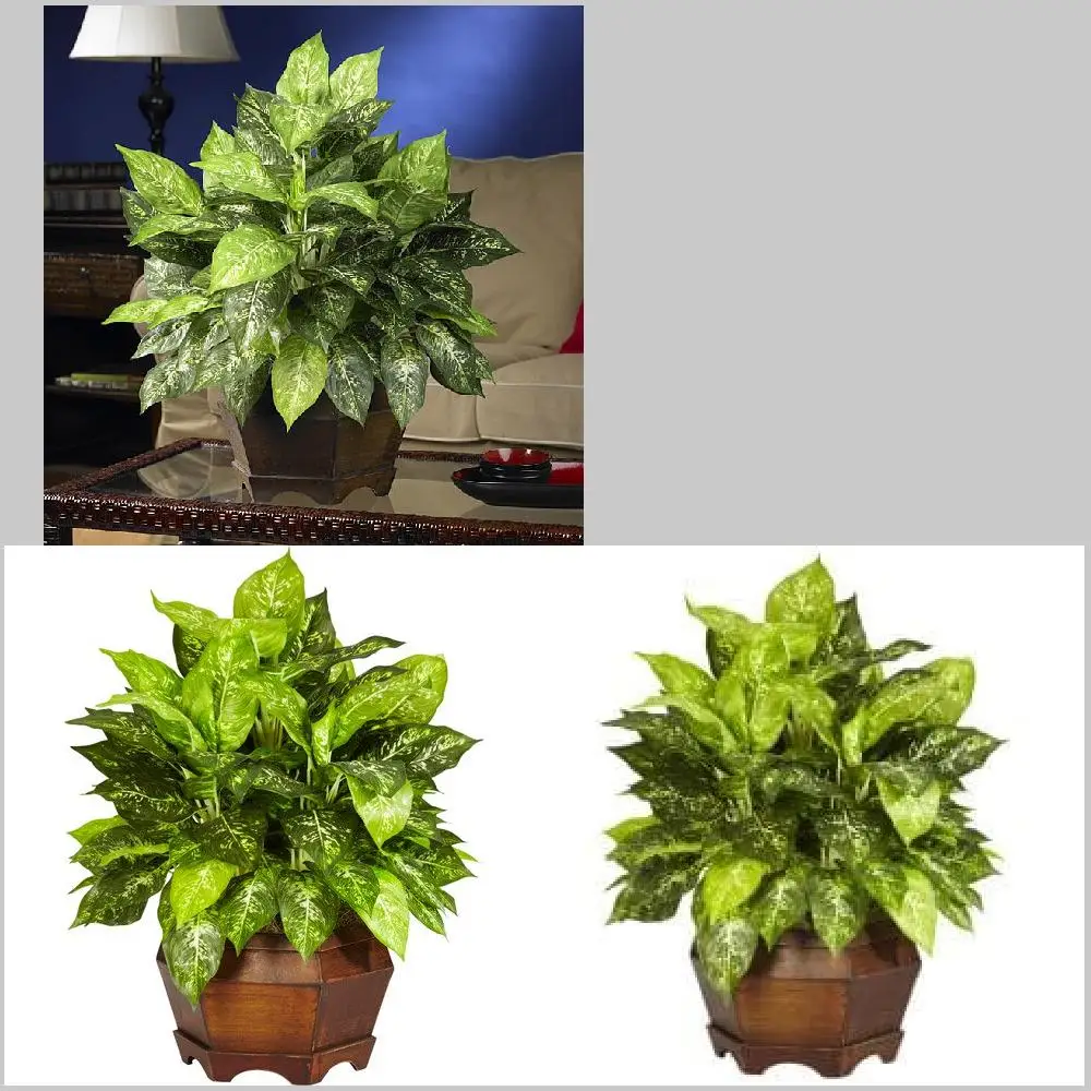 

and White Leaves Abstract 24" Variegated Artificial Dieffenbachia Plant with Green and White Distinctive Leaves for Home Decorat
