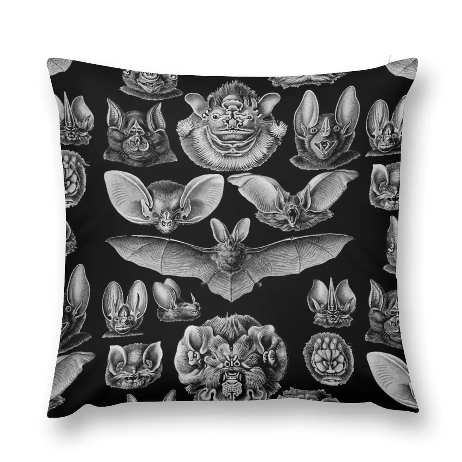 Наволочка 1904 Haeckel Chiroptera полиэстер