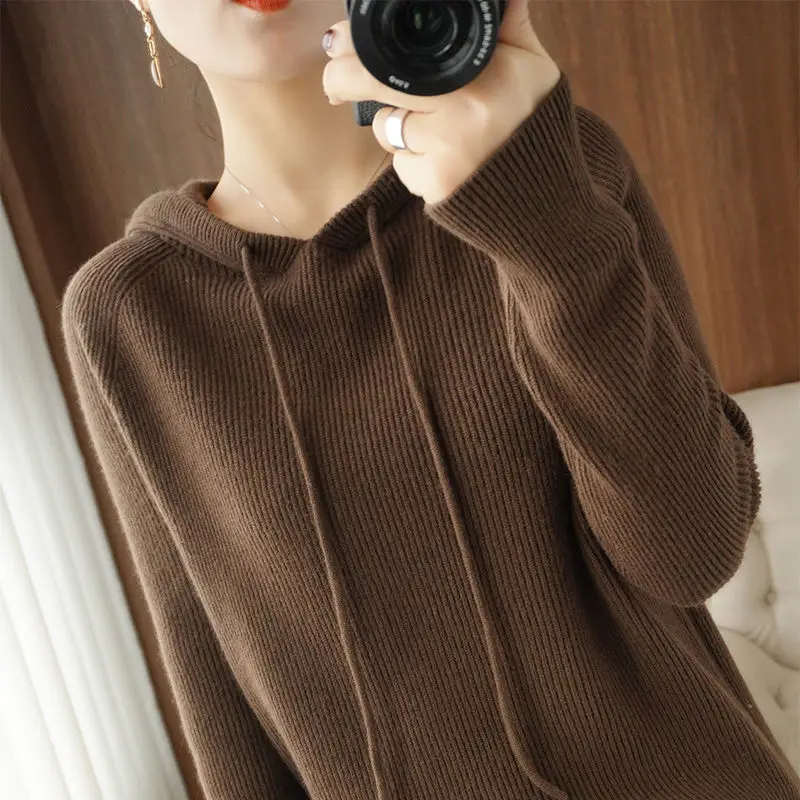 

Autumn Winter New Pullover Sweater Women Loose Korean 2022 Hooded Thick Knit Top Female Winter Sweaters Jersey Mujer T199