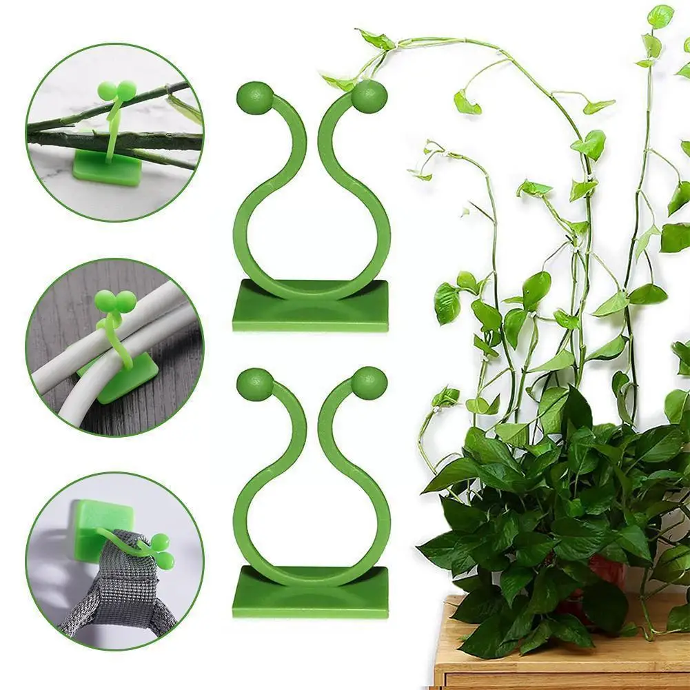 

10 шт., самоклеящиеся зажимы для подъема растений, M0t9