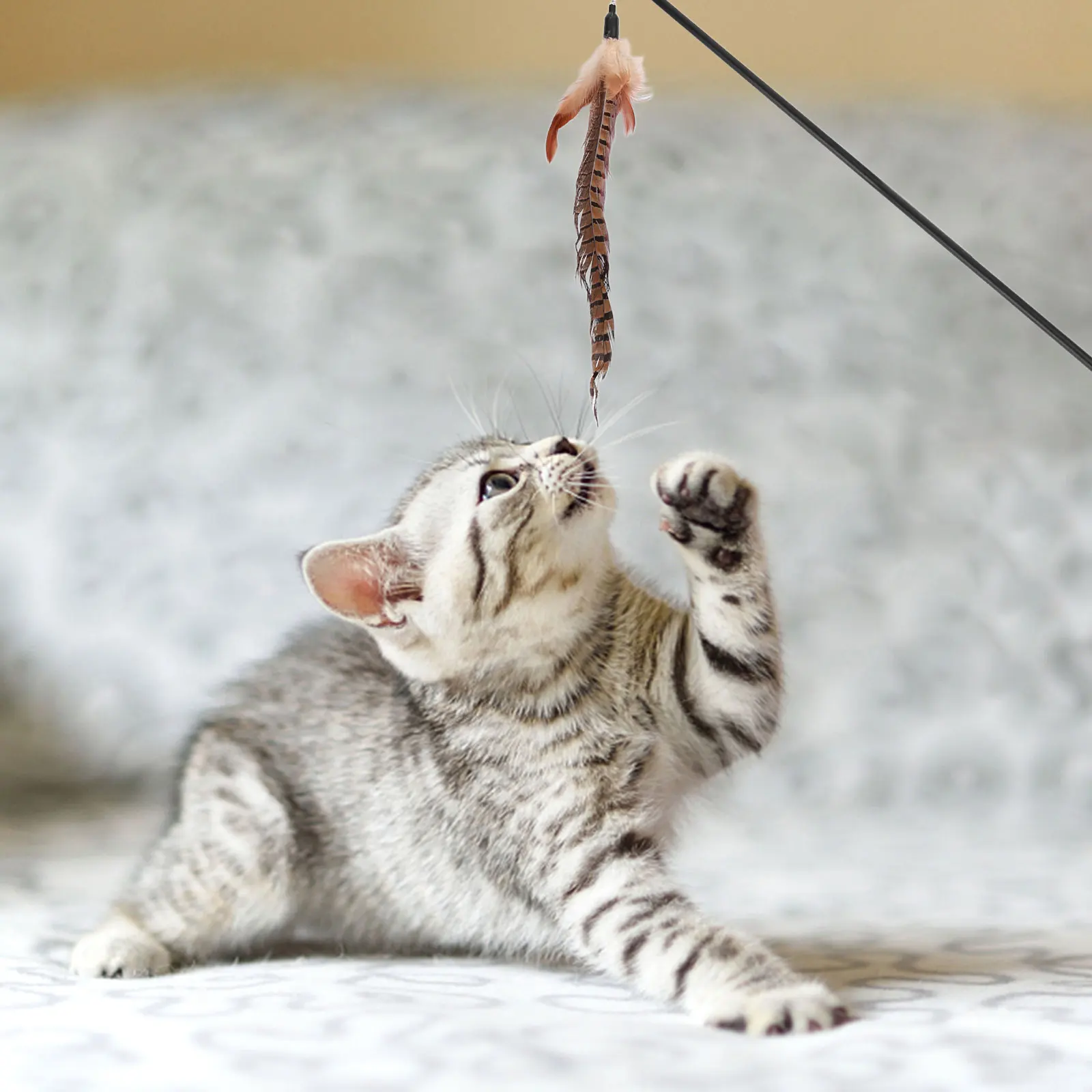 

Funny Cat Wand Toys Colorful Natural Non-Noxic Exercise Toys with Replaceable Bait Heads for Pet Playing Interactive