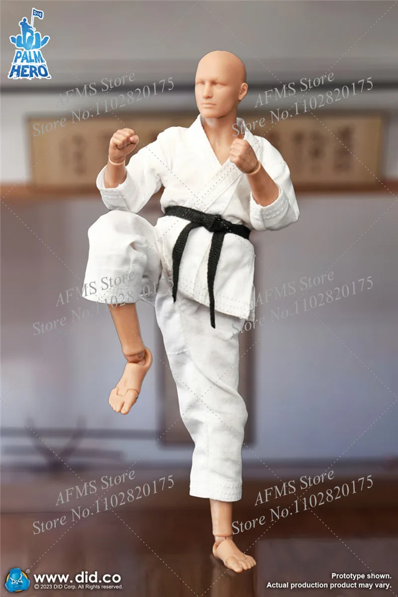 Hot Toys The Simply Fun DID SF80001 1/12 Мужская фигурка каратиста