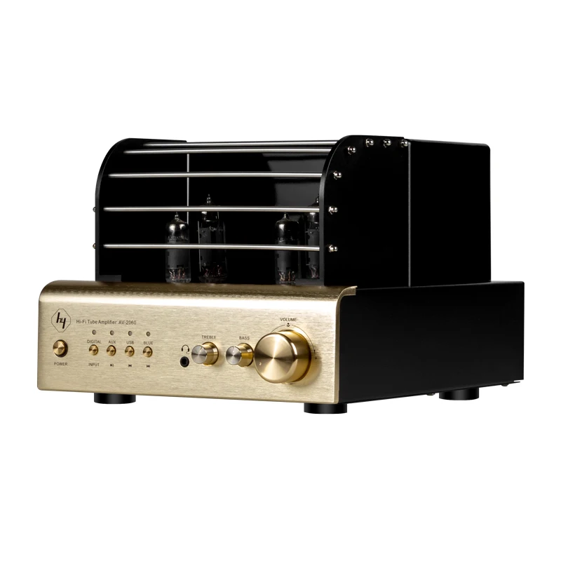Vacuum Tube Power Amplifier Av-2060