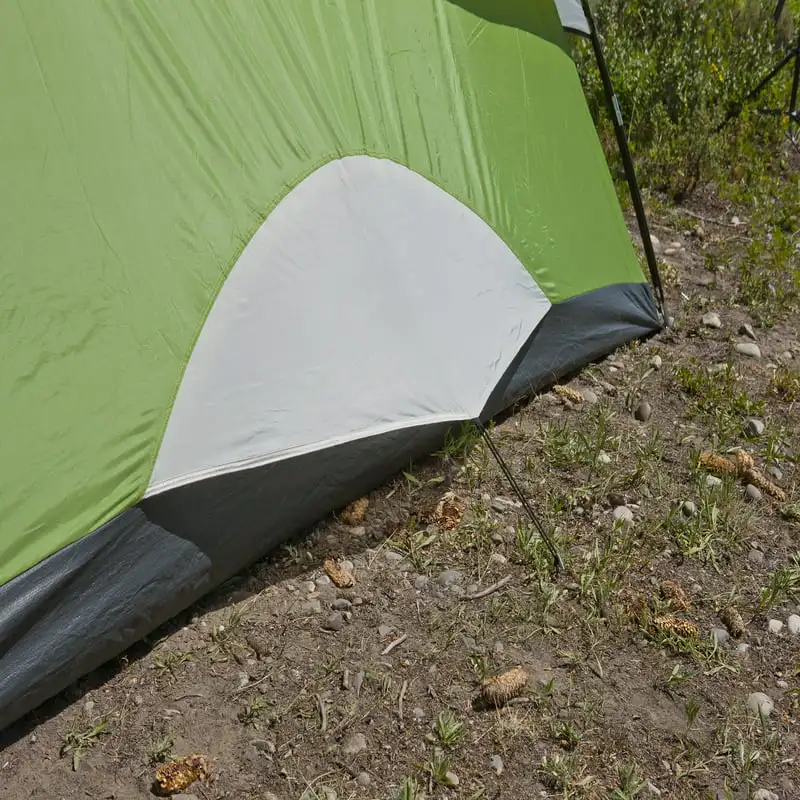 

Sundome на 6 человек®Купольная кемпинговая палатка, 1 комната, зеленый