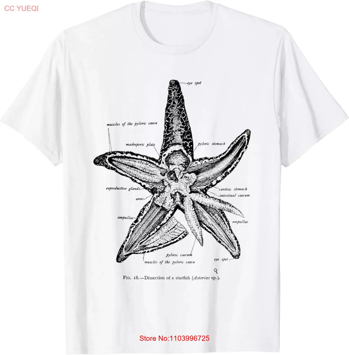 Винтажная футболка унисекс Морская звезда