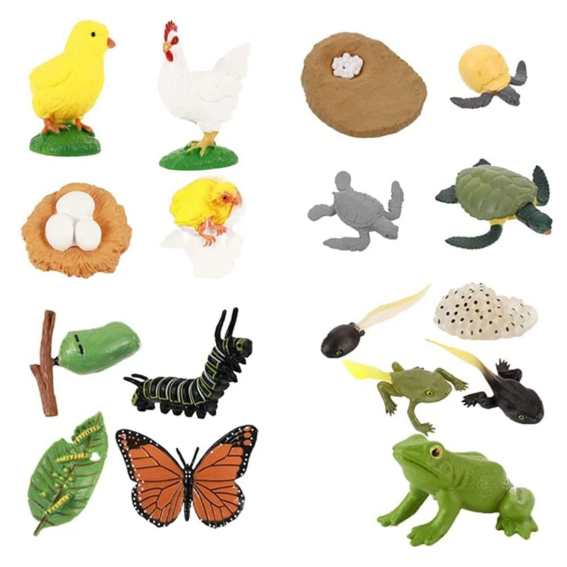 

-17 PCS Life Cycle Of Frog Butterflies Turtle Chicken Figurines Insect Farm Animals Growth Model For Kids Toys Kit