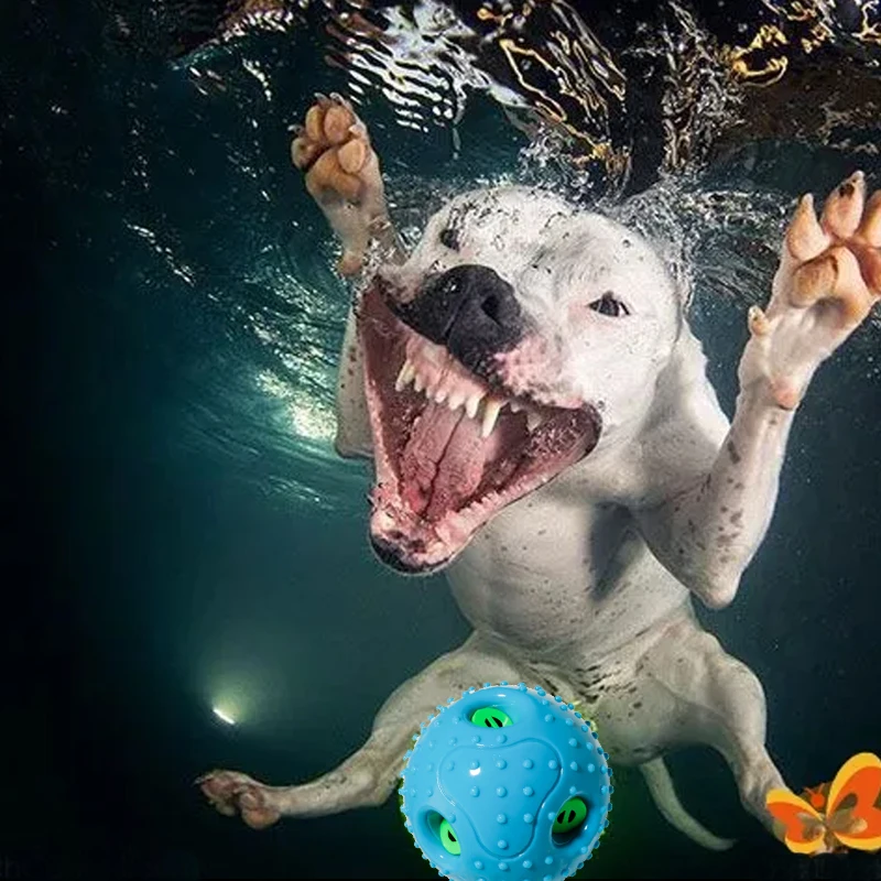 

High Quality Non Toxic Big Dog Toys Interactive Dog Stuff Cleaning Supplies Toothbrush Jumping Activation Ball for Large Dogs