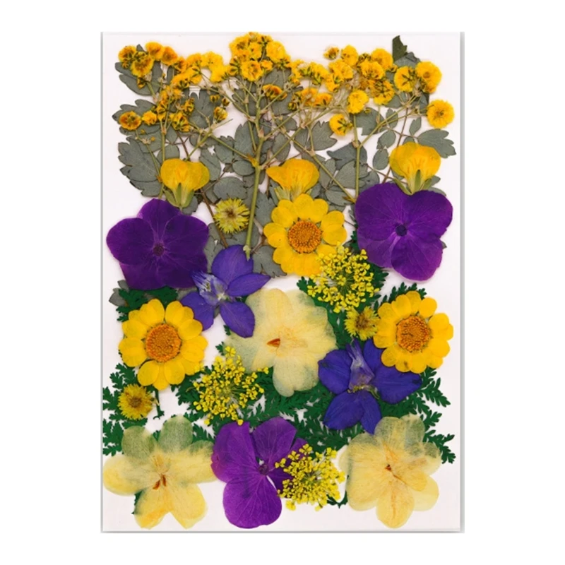 Натуральные прессованные цветы для творчества 30 шт