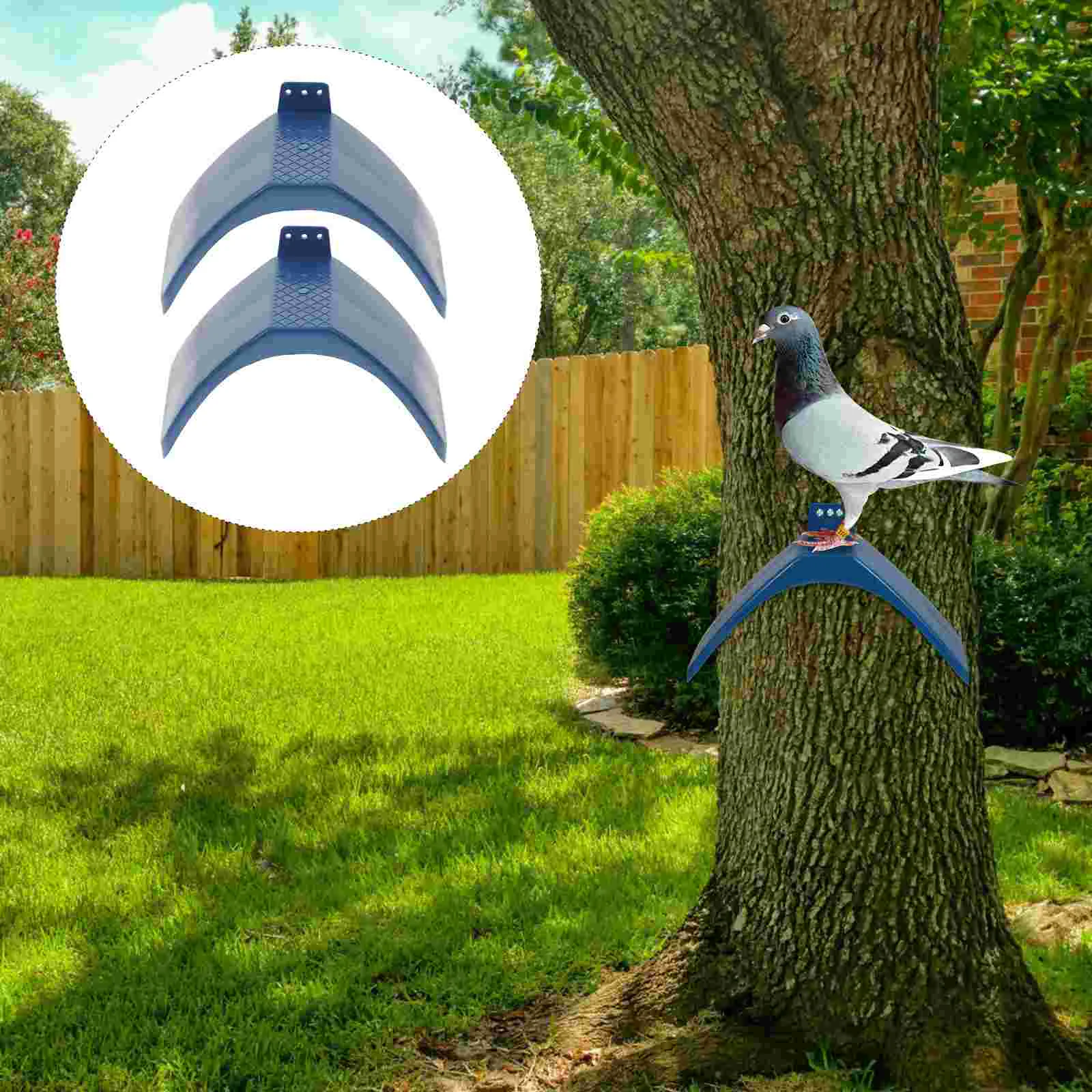 

Pigeon Bird Stand Perch Perches Dove Rest Supplies Frame Cage Dwelling Roost Standsparrot Coop Training Accessorieschicken Place