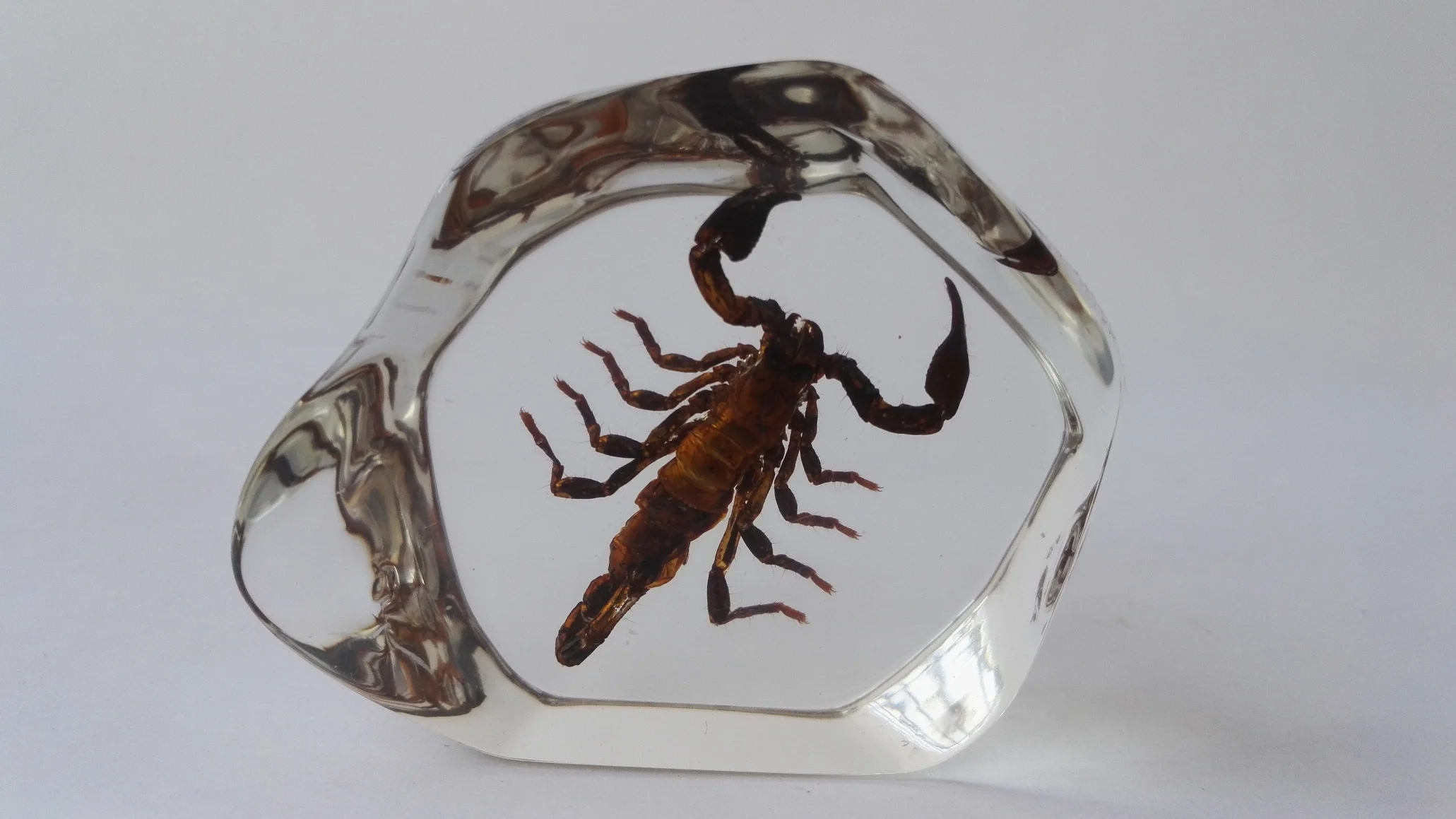 Янтарный образец насекомых эпоксидная смола пауки жуки модель скорпиона