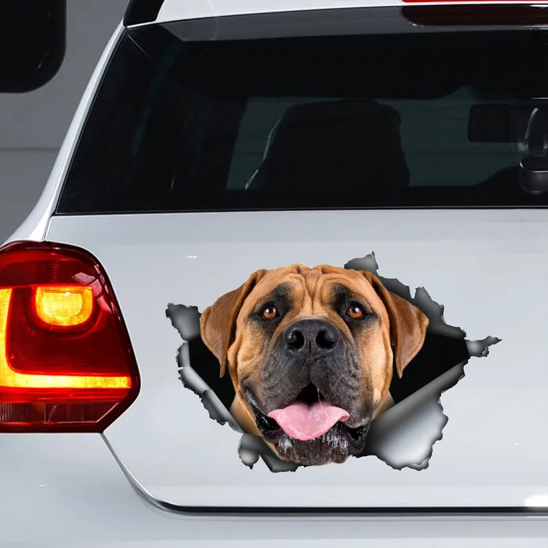 

Наклейка Boerboel, магнит Boerboel, наклейка Boerboel, автомобильная наклейка Boerboel