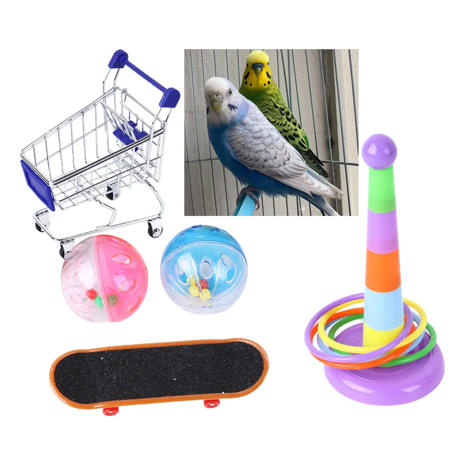 

Игрушка для обучения птицам, умный скейтборд, попугай для Lovebird Budgie