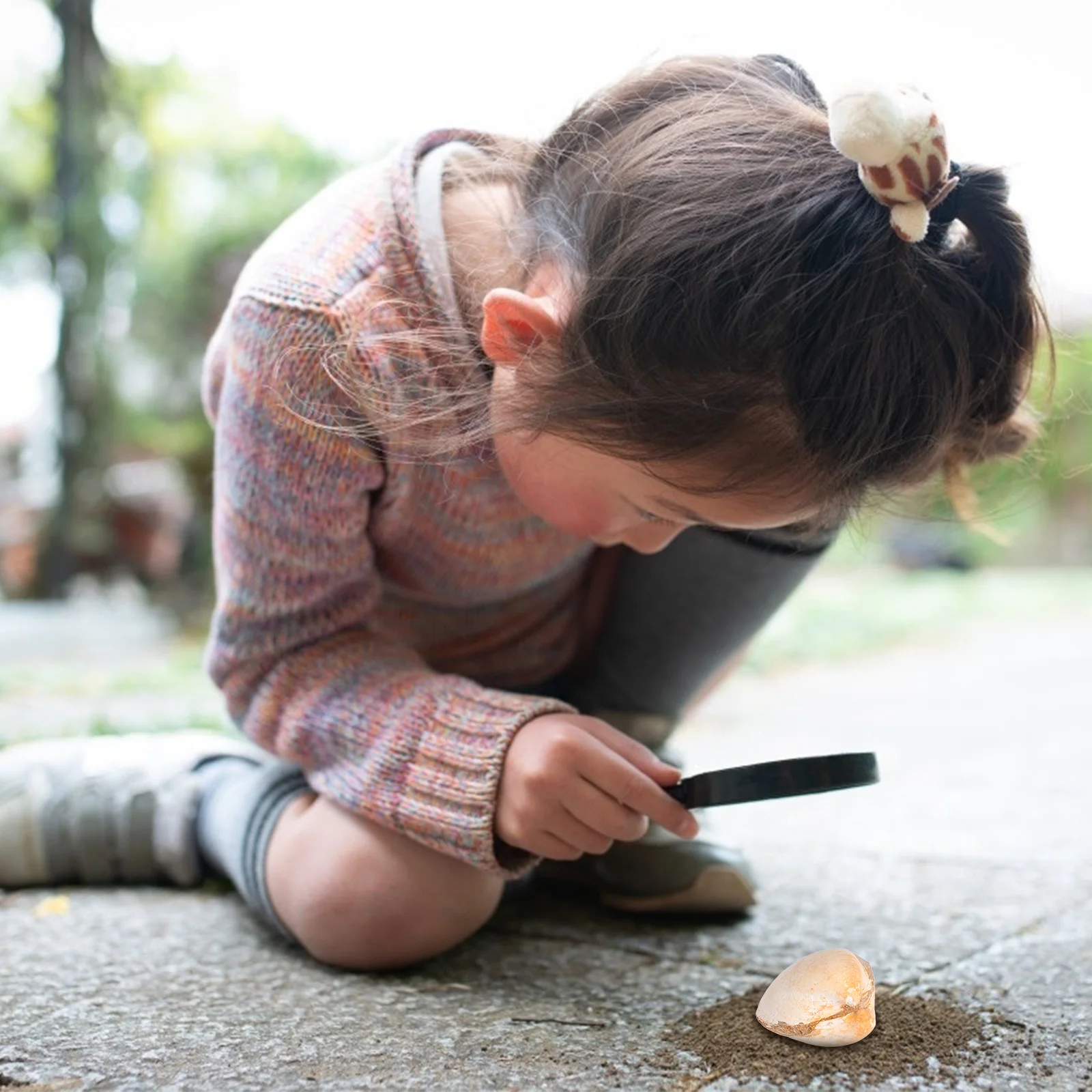 Bivalve Clam Palaeo-ocean Палеонтология Настольный орнамент Украшение Водный стол Игрушка