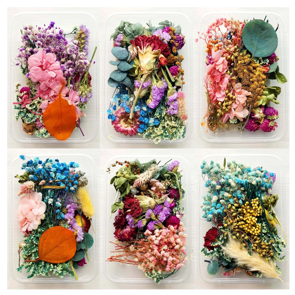 Настоящие сухие цветы рассеянный цветок маленький Звездный мини звезда