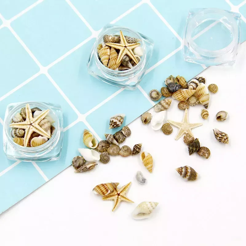 

NEW2023 Natural Mini Conch Shells Starfish Sea Beach Ornaments Shell Design Conch Epoxy Mold Filling Home Deco Manicure Tools