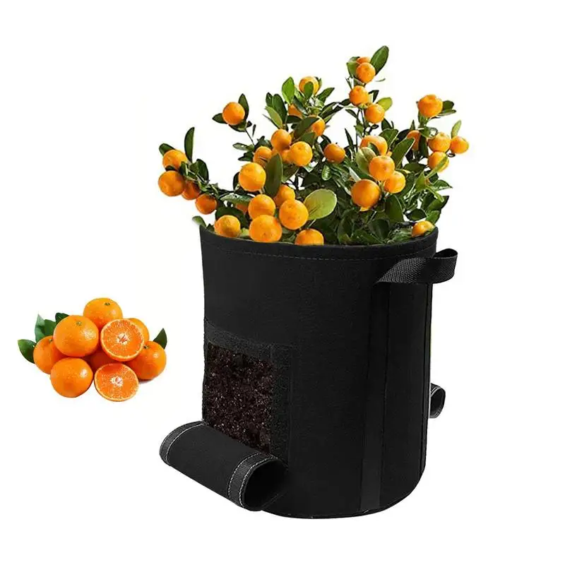 

Non-woven Fabric Plant Pots Grow Bags 7/10 Gallon Gardening Vegetable Tomato Strawberry Growing Planter Potato Planting Pots