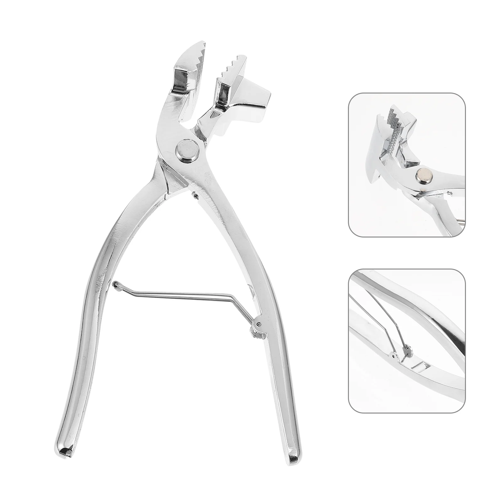 

1Pc Clip Embroidery Sheds Clip Oil Canvas Clip Frame Separating Clip for Shop School