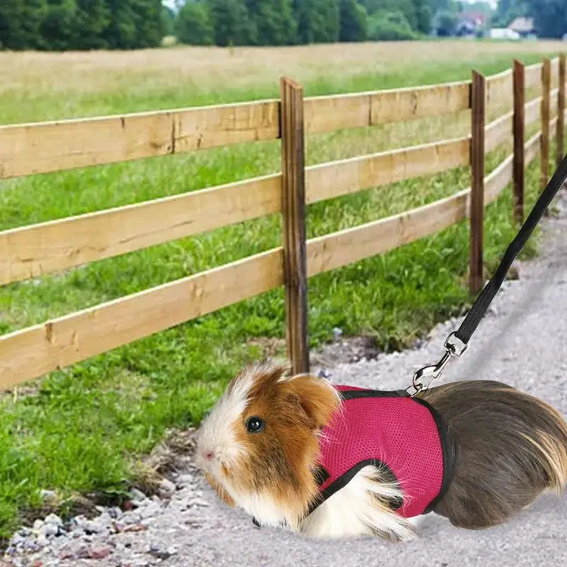 

Portable Rabbit Harness And Leash Set Small Animal Soft Vest Harness And Leash Set For Bunny Rabbit Kitten Small Animal Walking