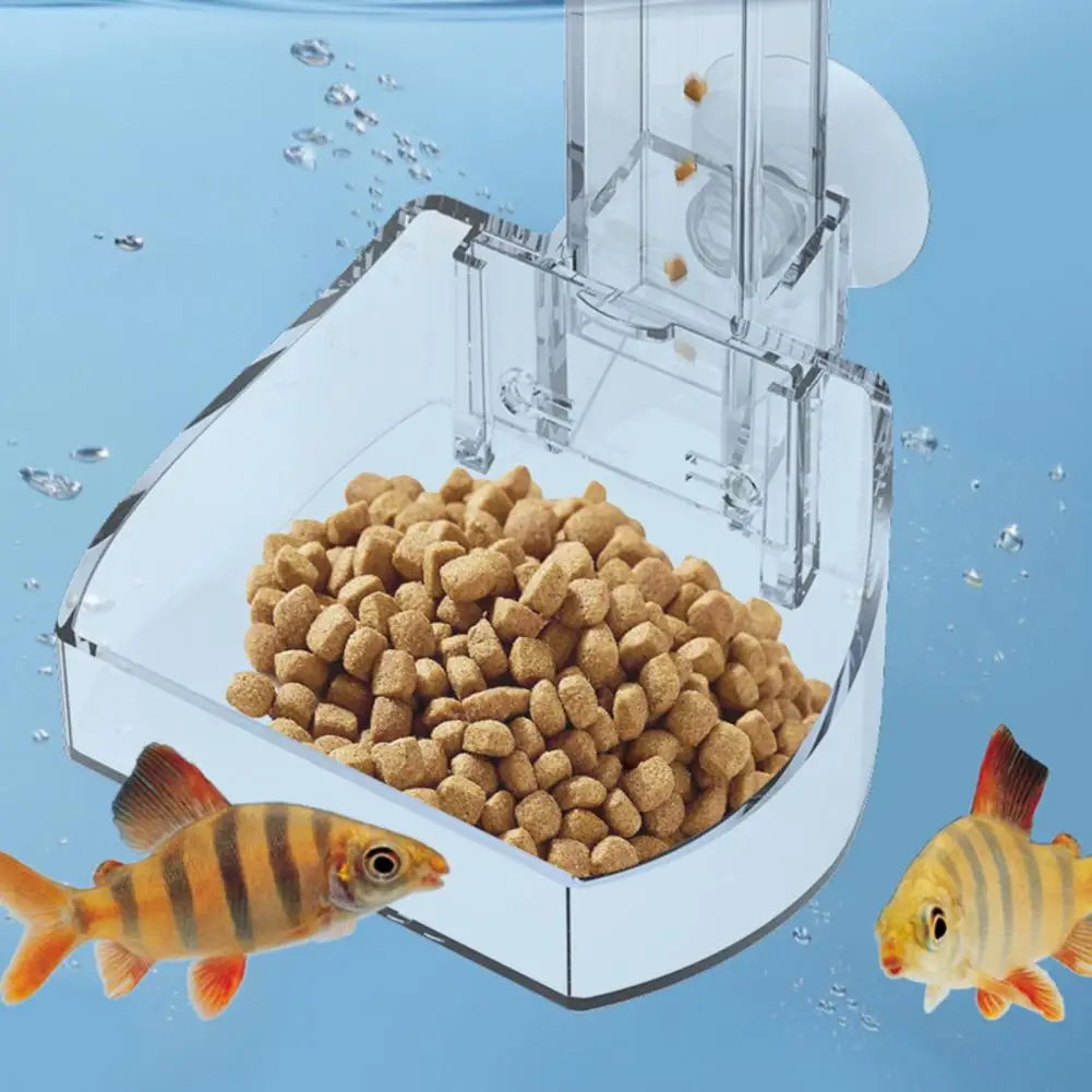 

Hard Suction Cup Clear Visible Aquarium Fish Shrimp Food Feeder Easy to Install Fish Tank Feeder Fish Tank Accessories