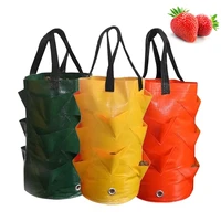 garden planting bag strawberry grow bag 3l multi mouth vertical flower herb tomato planter bag