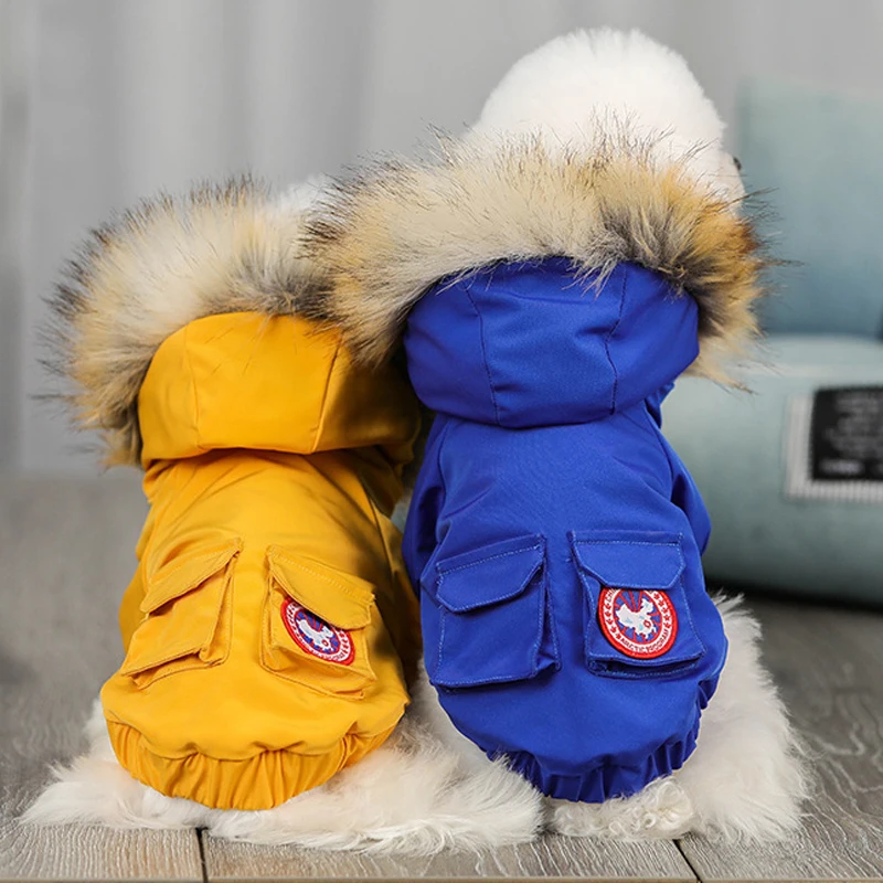 

Dog Clothes New Luxury Pet Clothing Fashion Fashion Popular Dog Clothes Winter Pet Jacket Puppy Teddy Hoodie Cat and Dog Coat