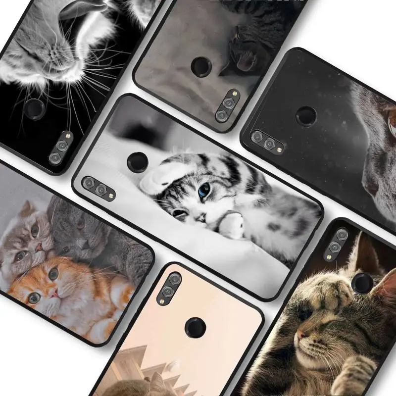 

Cute Cat Phone Case for Huawei Honor 10 i 8X C 5A 20 9 10 30 lite pro Voew 10 20 V30