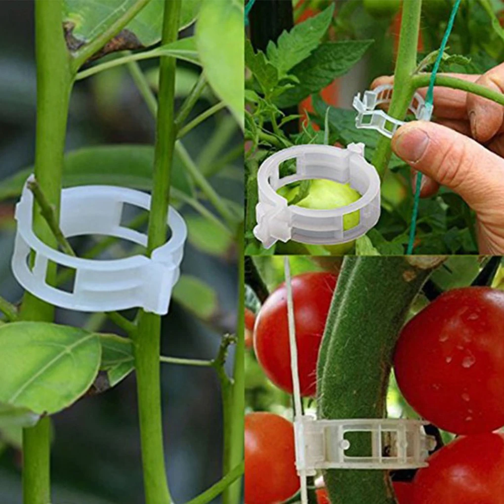 

Retaining Clips Reusable Protection Clamping Tools Agricultural Gardening Supplies Greenhouse Vegetable Growth 200Pcs