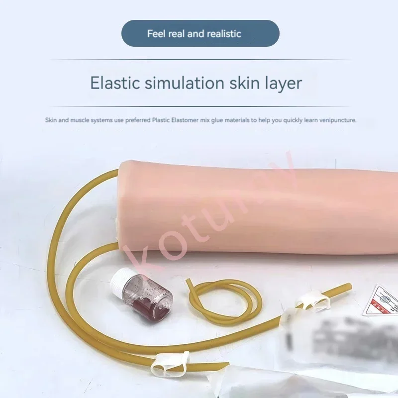 Реалистичный анатомический флеботомический тренажер для тренировок в области