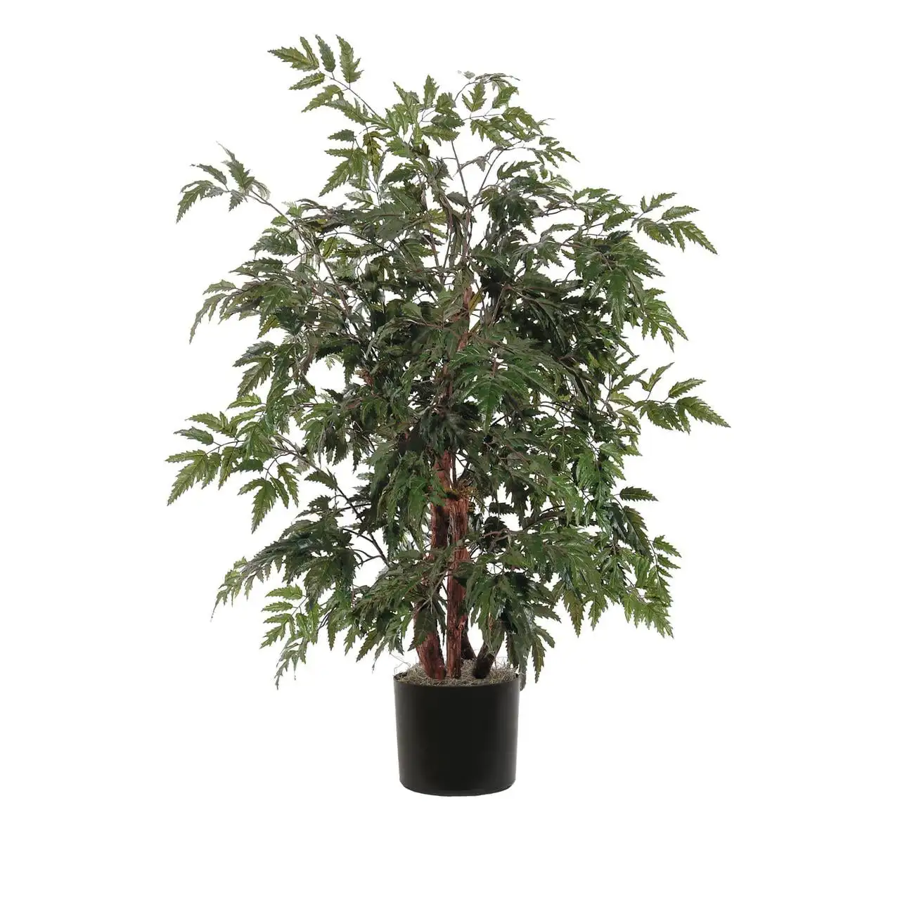 

4' Artificial Ming Aralia Bush, Rattan Basket
