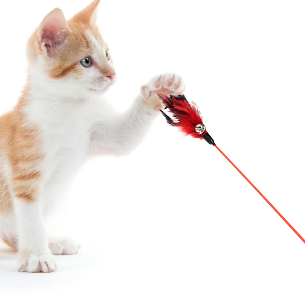 

Pet Cat Toys For Long Handle Cats Kitten Interactive Balance Car Cat Chasing Toy With Catnip Funny Pet Products